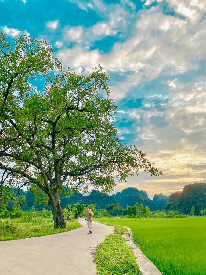 Tam Coc Sky Bungalow ニンビン エクステリア 写真